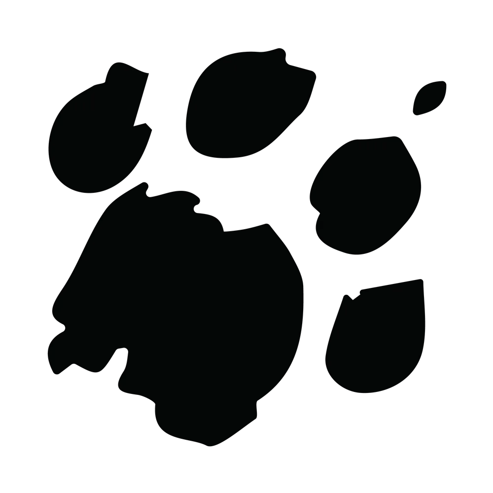 Miss Sally Cat's Signature