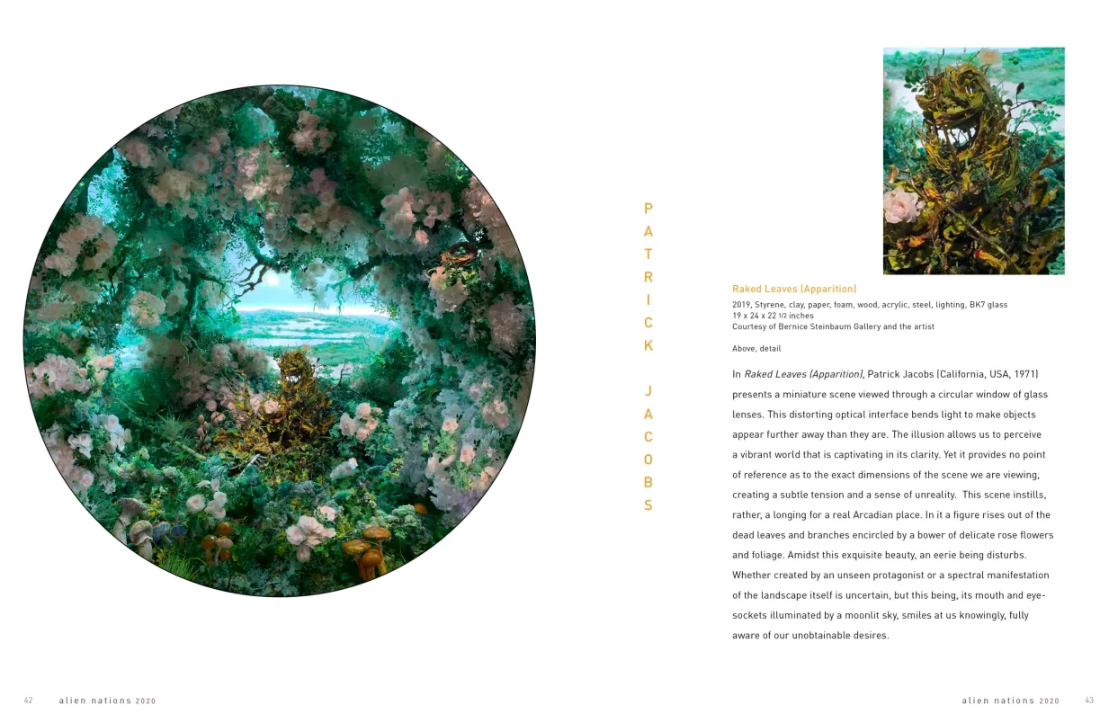 Alien Nations 2020 exhibition catalogue, pages 42–43