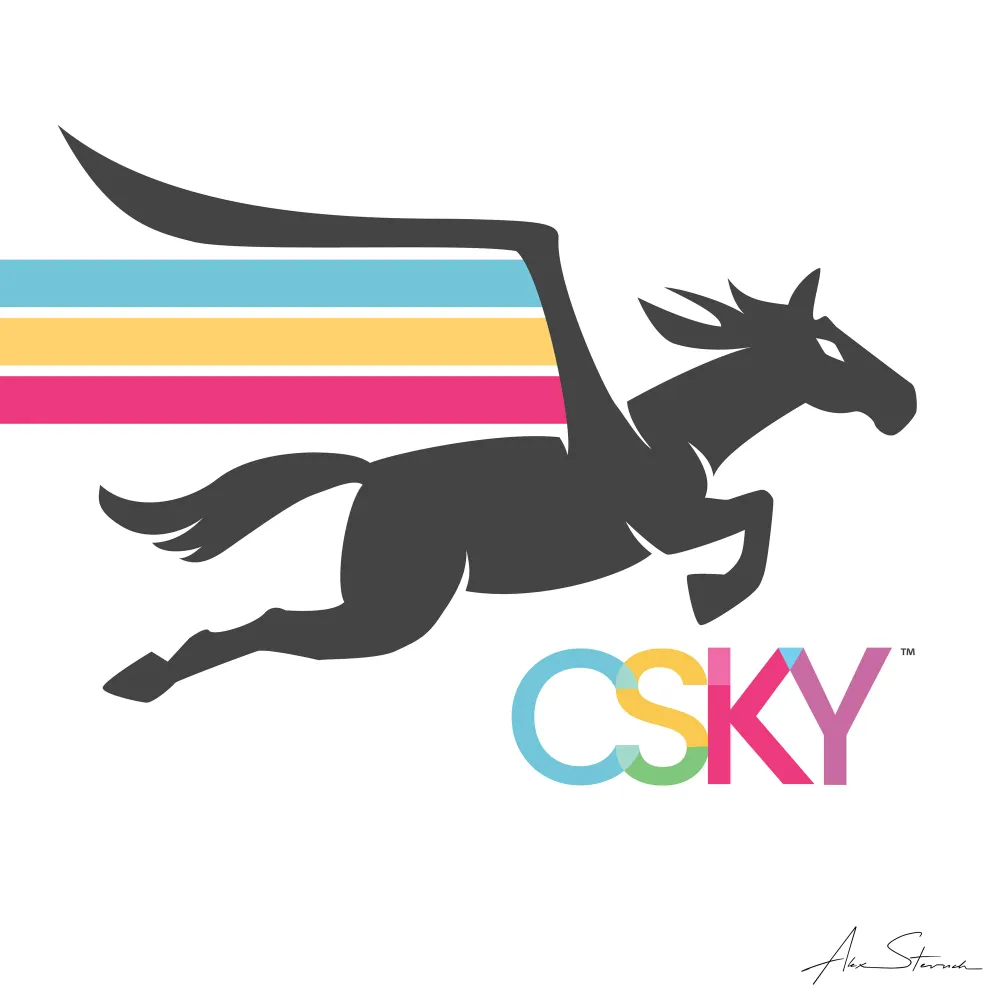 CSKY Square Logo