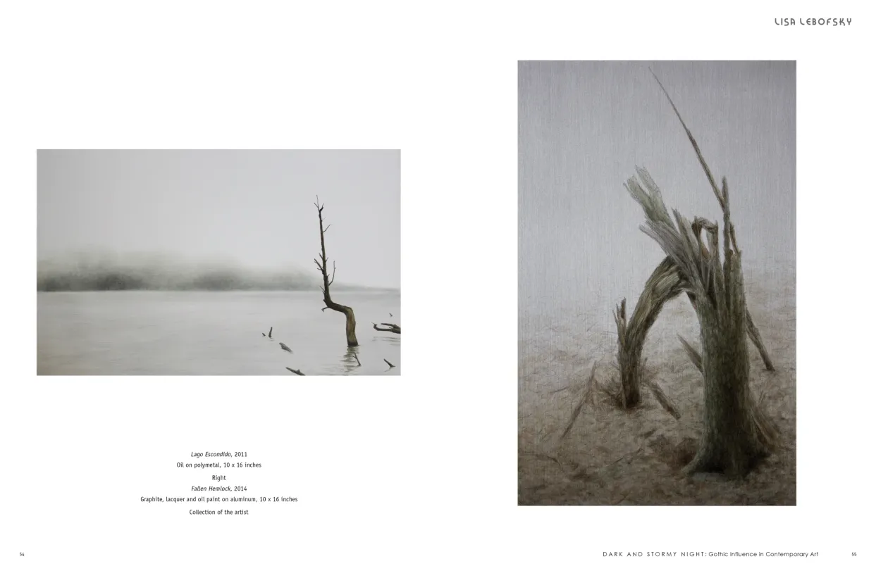 Dark and Stormy Night: Gothic Influence in Contemporary Art exhibition catalogue, pages 54–55