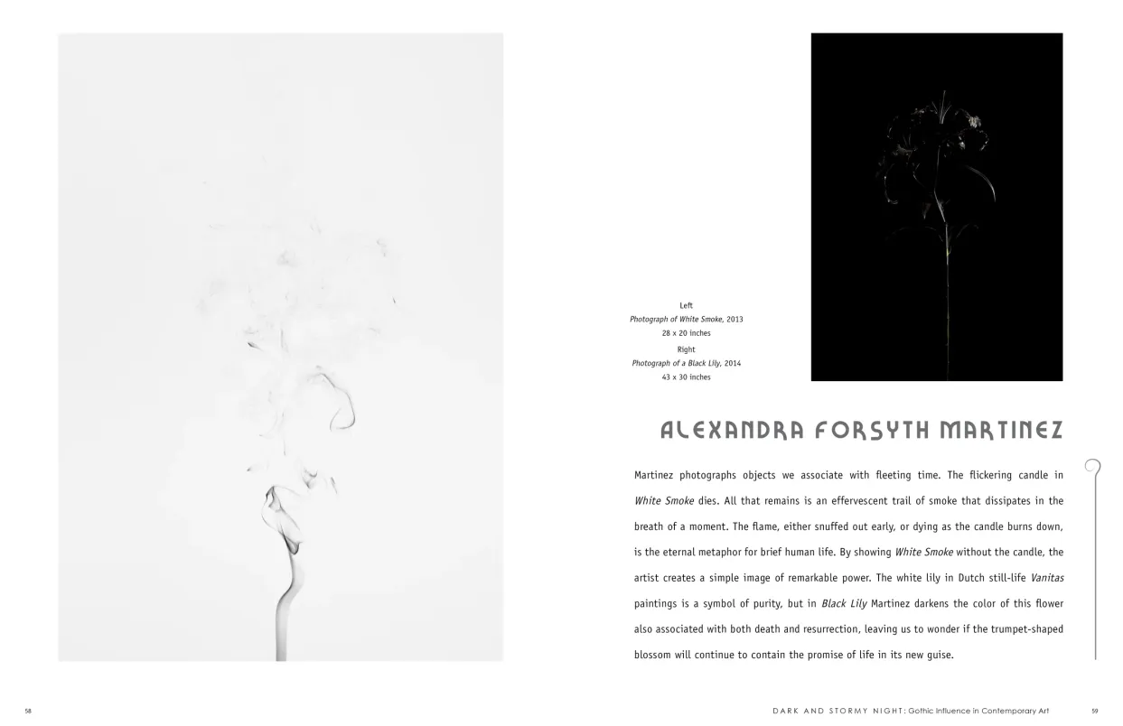 Dark and Stormy Night: Gothic Influence in Contemporary Art exhibition catalogue, pages 58–59