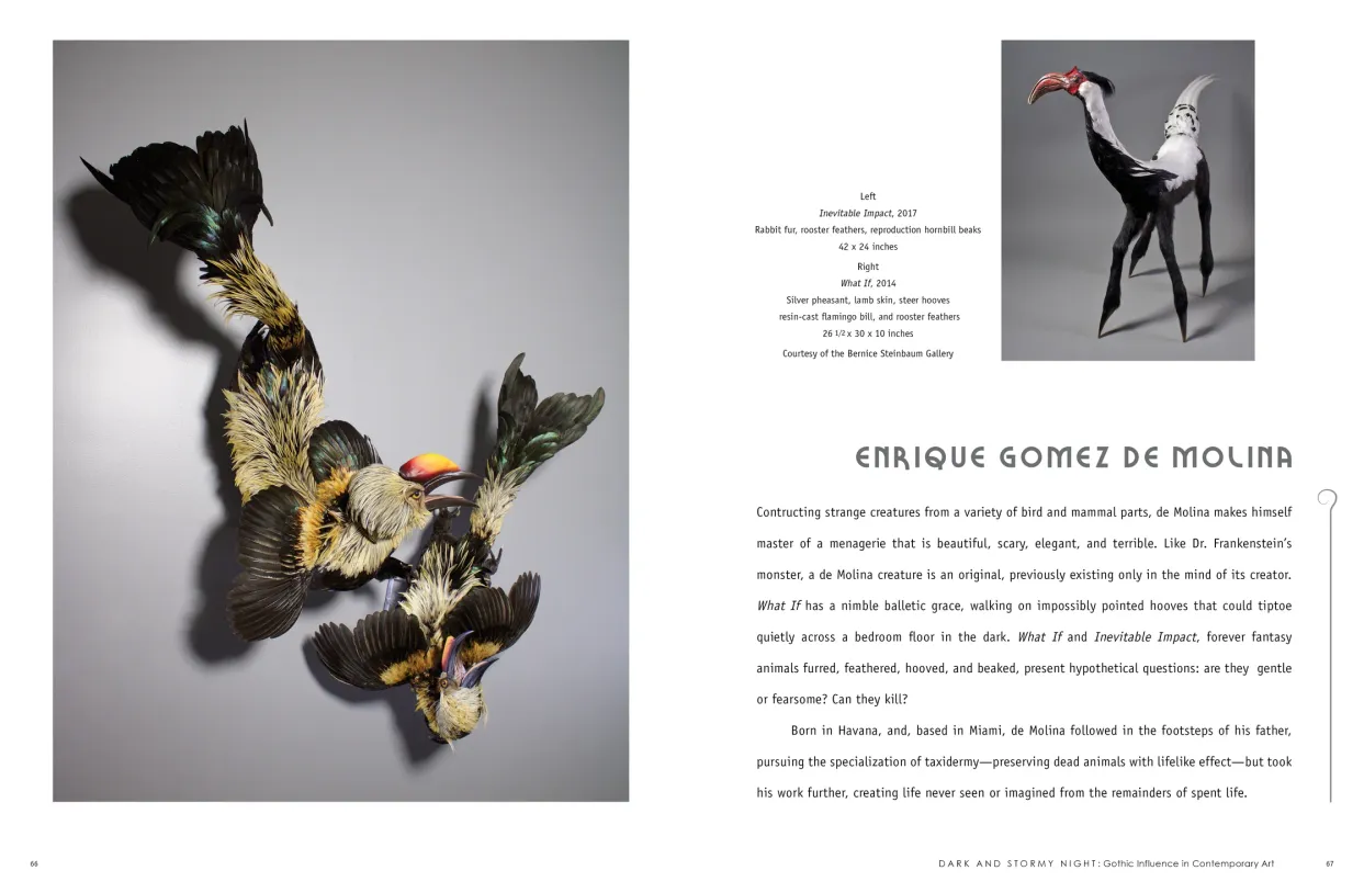 Dark and Stormy Night: Gothic Influence in Contemporary Art exhibition catalogue, pages 66–67