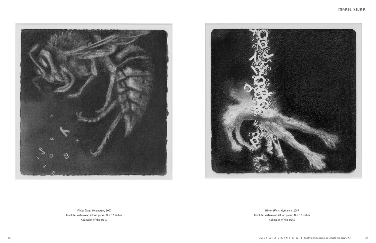 Dark and Stormy Night: Gothic Influence in Contemporary Art exhibition catalogue, pages 88–89