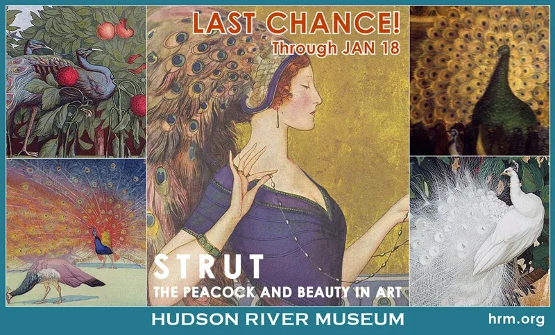 Hudson River Museum Ad for The Journal 11/30/2014