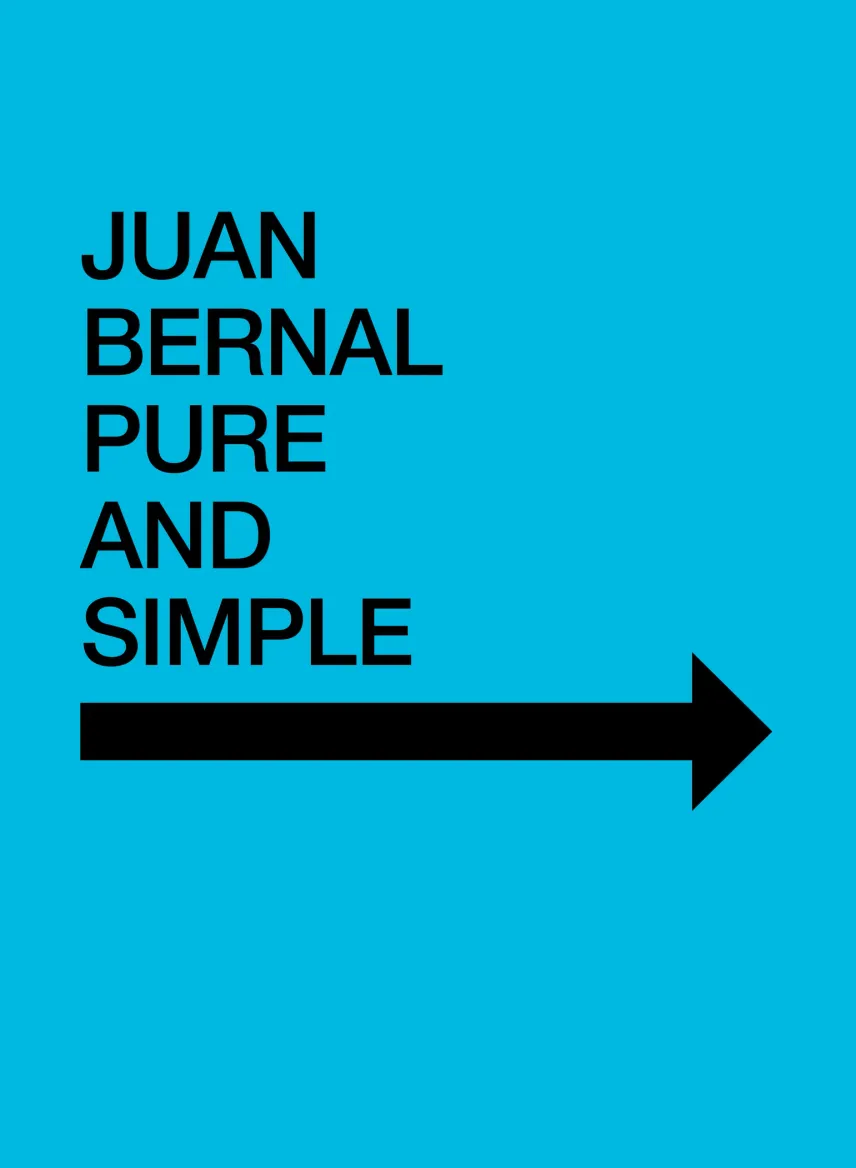Bernal wall panel design