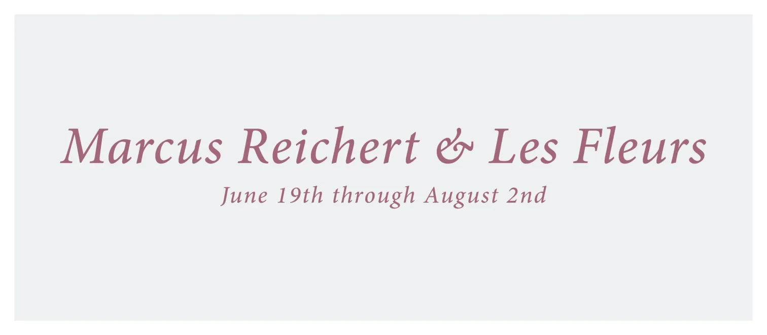 Exhibition title lettering