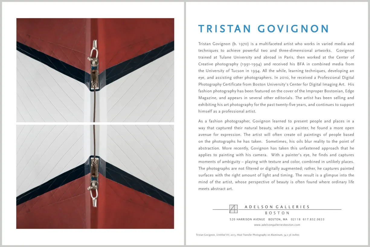 Artist biography takeaway for Tristan Govignon