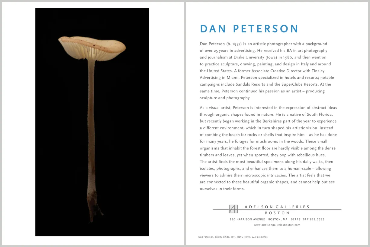 Artist biography takeaway for Dan Peterson