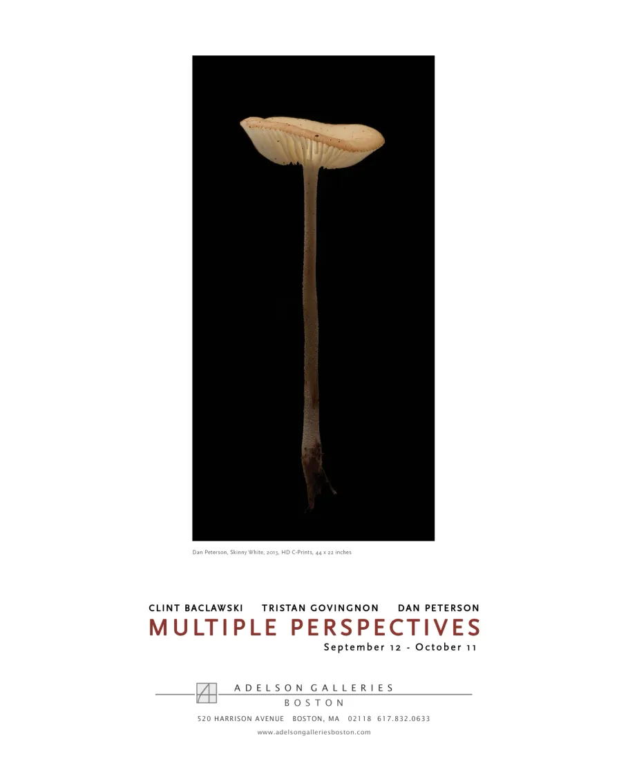 Full-page exhibition advertisement design