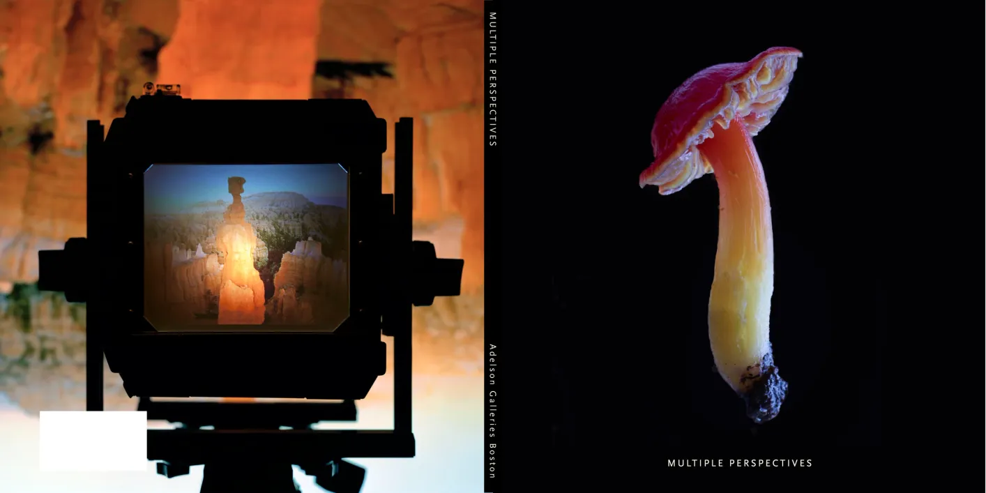 Exhibition catalogue cover spread