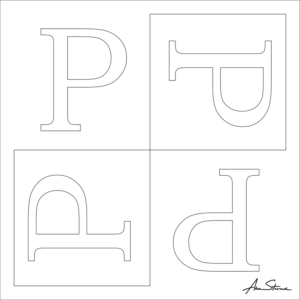 Paddock Particulars Graphic Square Logo vector-line for comparison