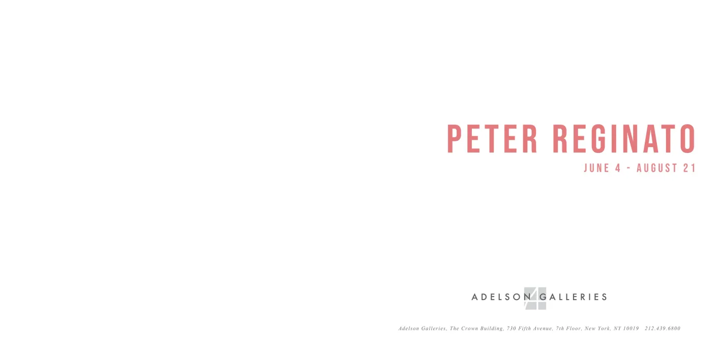Peter Reginato: Fiction exhibition catalogue, pages 2–3