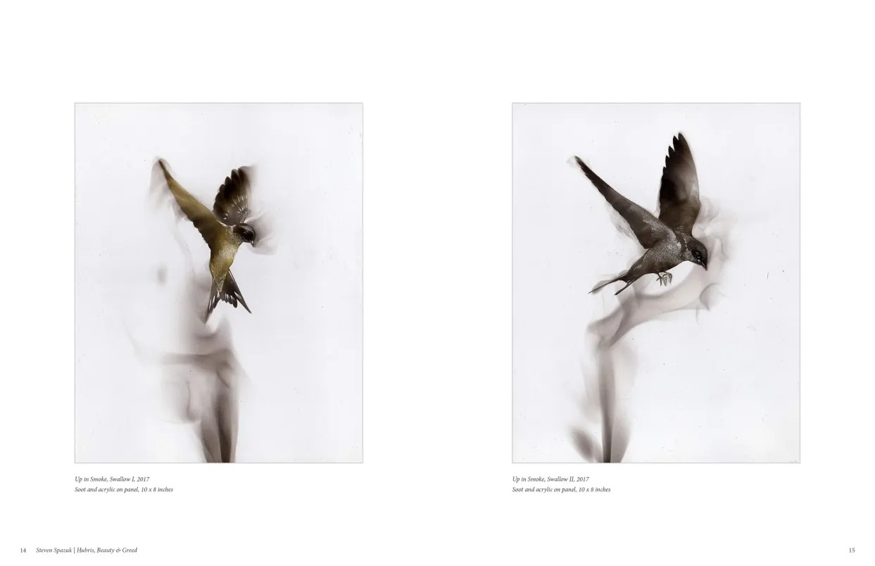 Exhibition catalogue pages 14-15