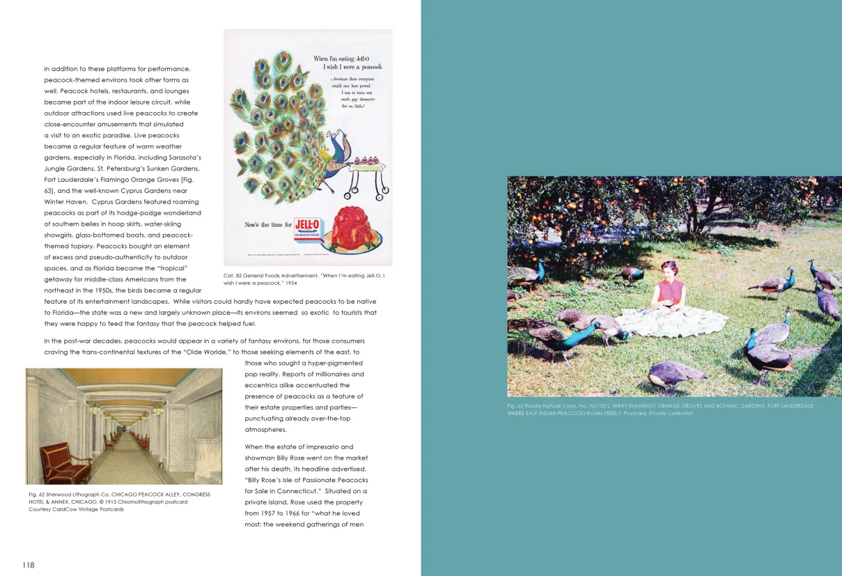 Strut: The Peacock and Beauty in Art exhibition catalogue, pages 118–119