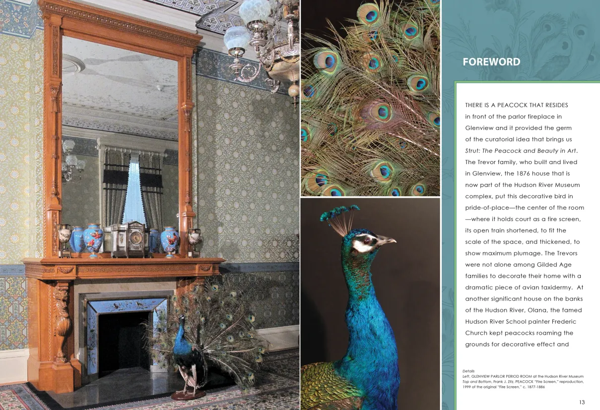 Strut: The Peacock and Beauty in Art exhibition catalogue, pages 12–13