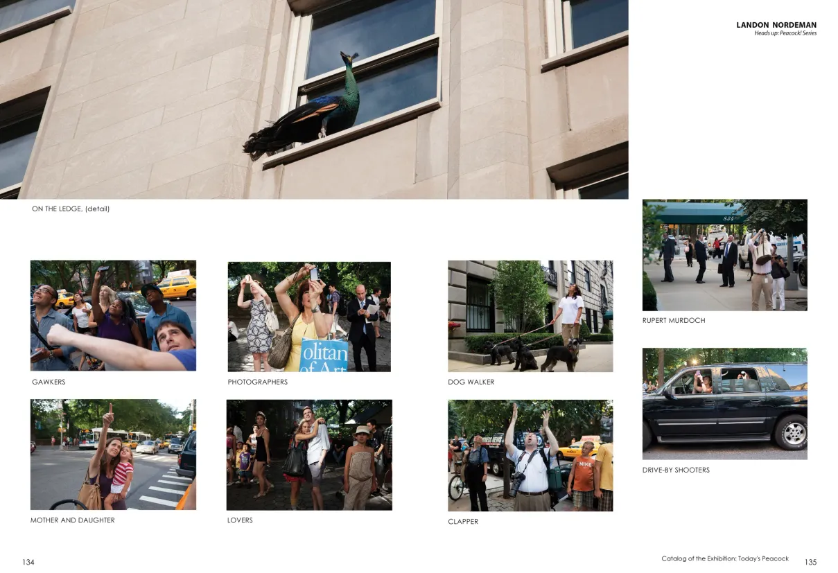 Strut: The Peacock and Beauty in Art exhibition catalogue, pages 134–135