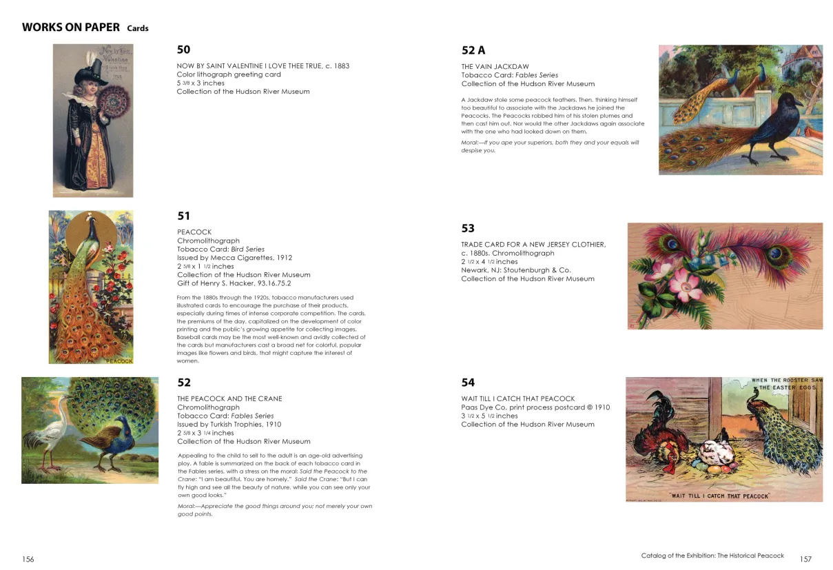 Strut: The Peacock and Beauty in Art exhibition catalogue, pages 156–157