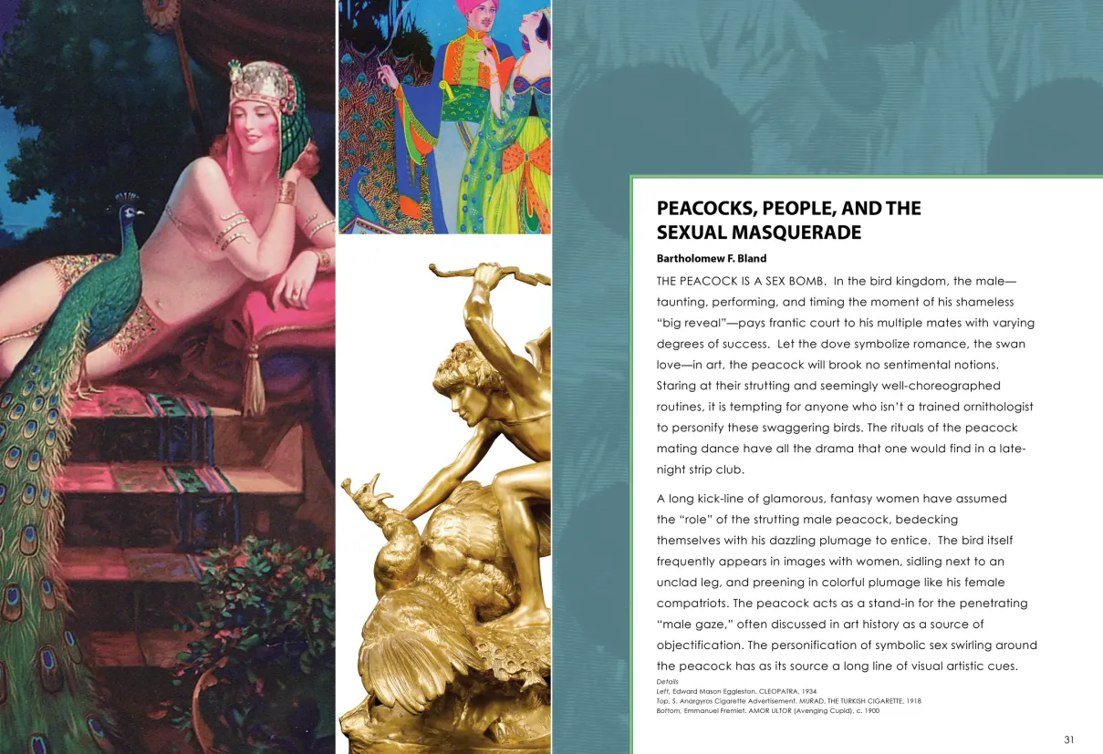 Strut: The Peacock and Beauty in Art exhibition catalogue, pages 30–31