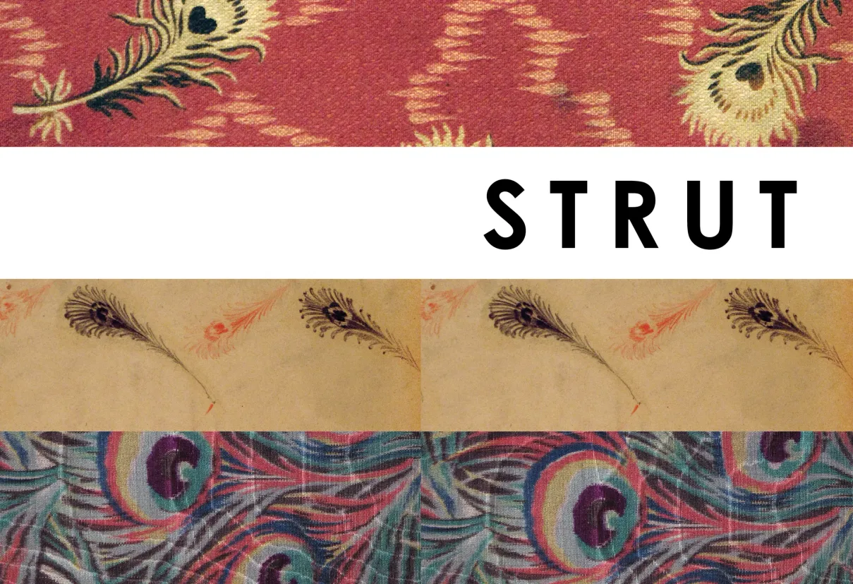 Strut: The Peacock and Beauty in Art exhibition catalogue, pages 4–5