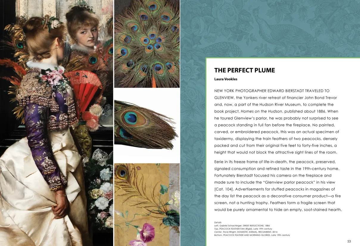 Strut: The Peacock and Beauty in Art exhibition catalogue, pages 52–53