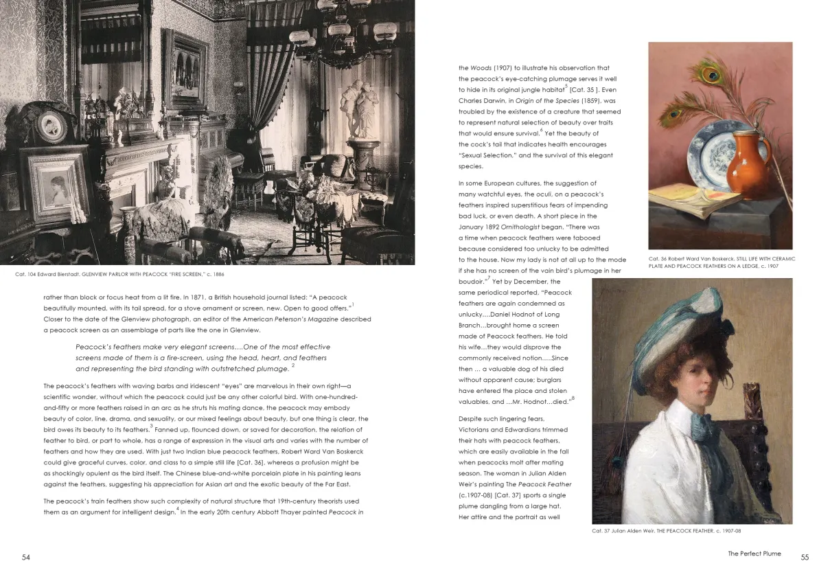 Strut: The Peacock and Beauty in Art exhibition catalogue, pages 54–55