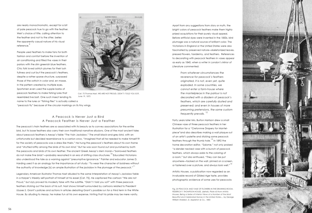 Strut: The Peacock and Beauty in Art exhibition catalogue, pages 56–57