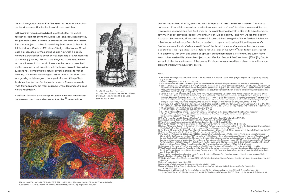 Strut: The Peacock and Beauty in Art exhibition catalogue, pages 66–67