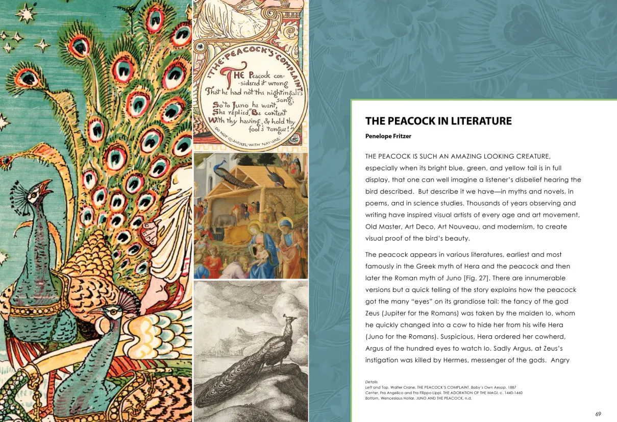 Strut: The Peacock and Beauty in Art exhibition catalogue, pages 68–69