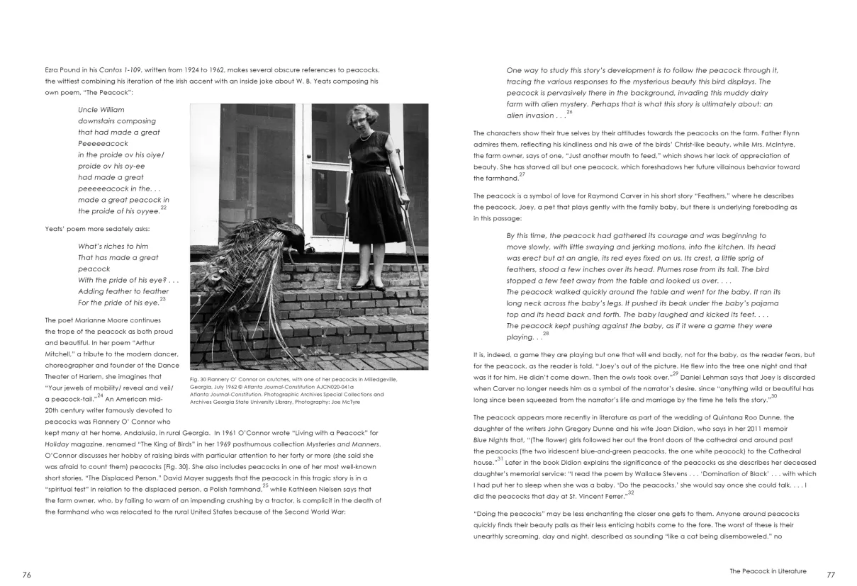 Strut: The Peacock and Beauty in Art exhibition catalogue, pages 76–77