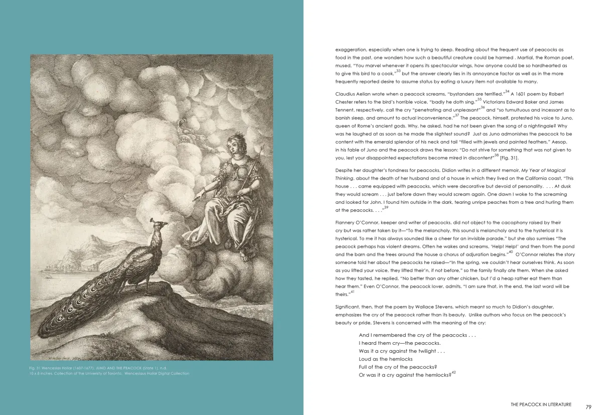 Strut: The Peacock and Beauty in Art exhibition catalogue, pages 78–79