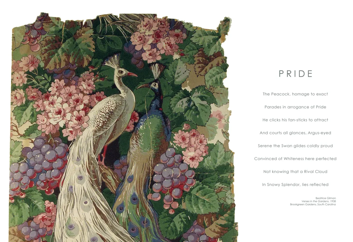 Strut: The Peacock and Beauty in Art exhibition catalogue, pages 8–9