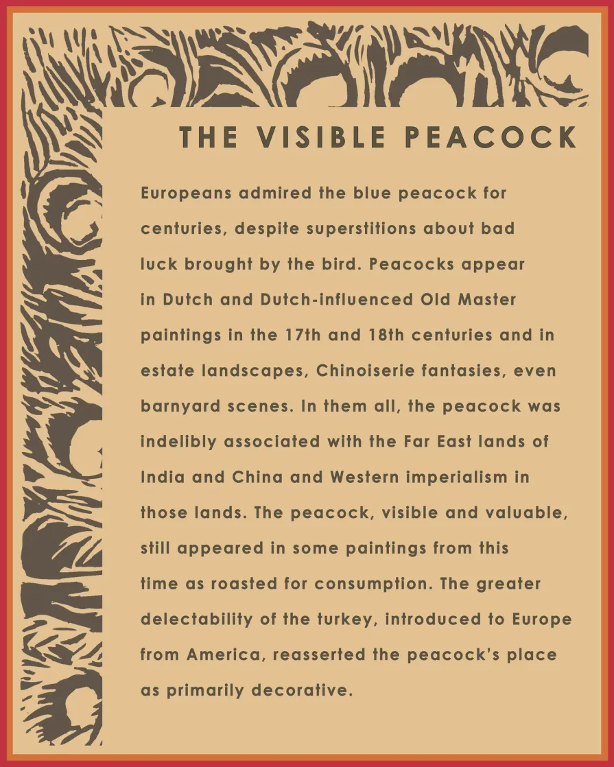 Theme wall panel - The Visible Peacock