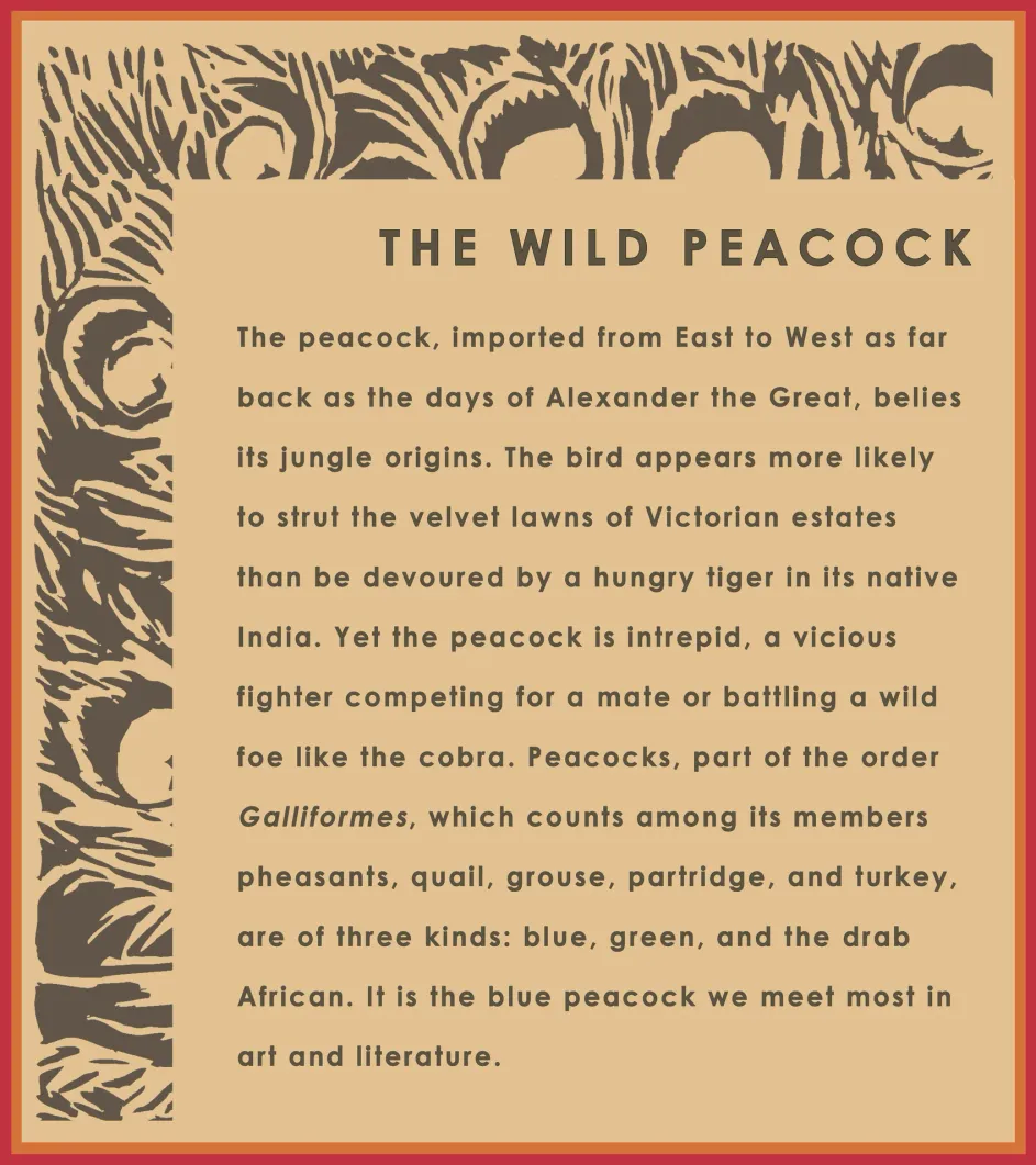 Theme wall panel - The Wild Peacock
