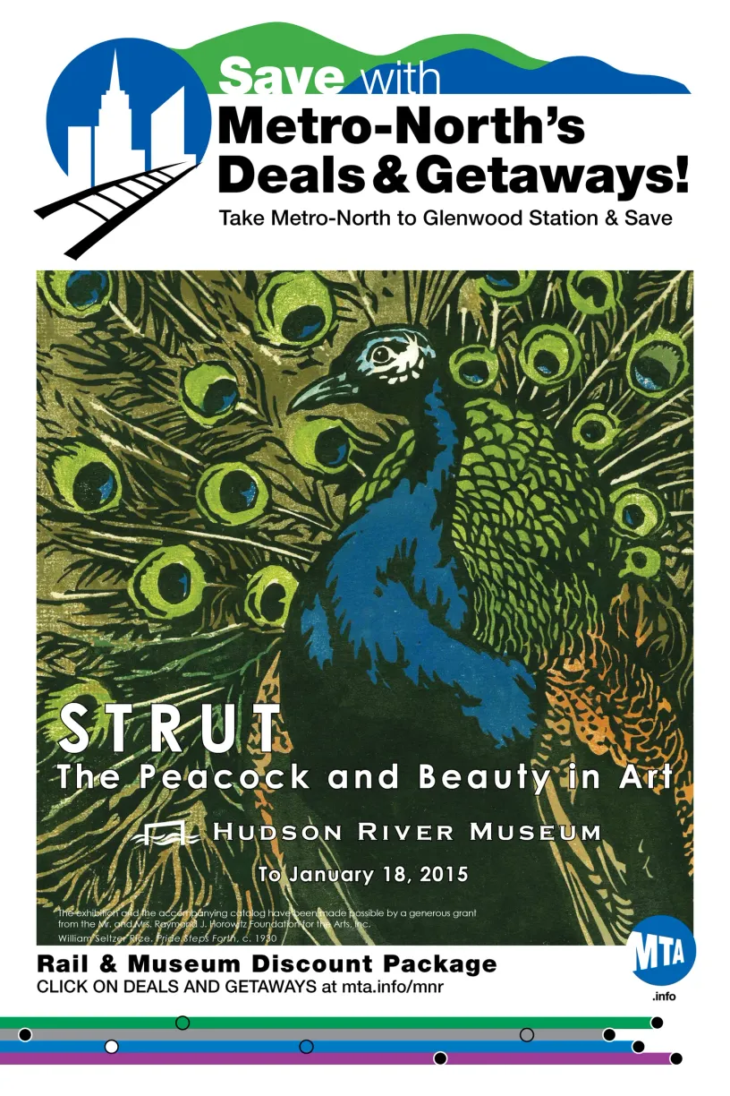 Strut: The Peacock and Beauty in Art MTA Ad