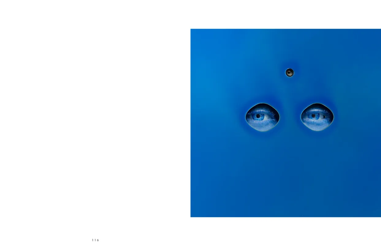 The Eyes Have It! exhibition catalogue, pages 116–117