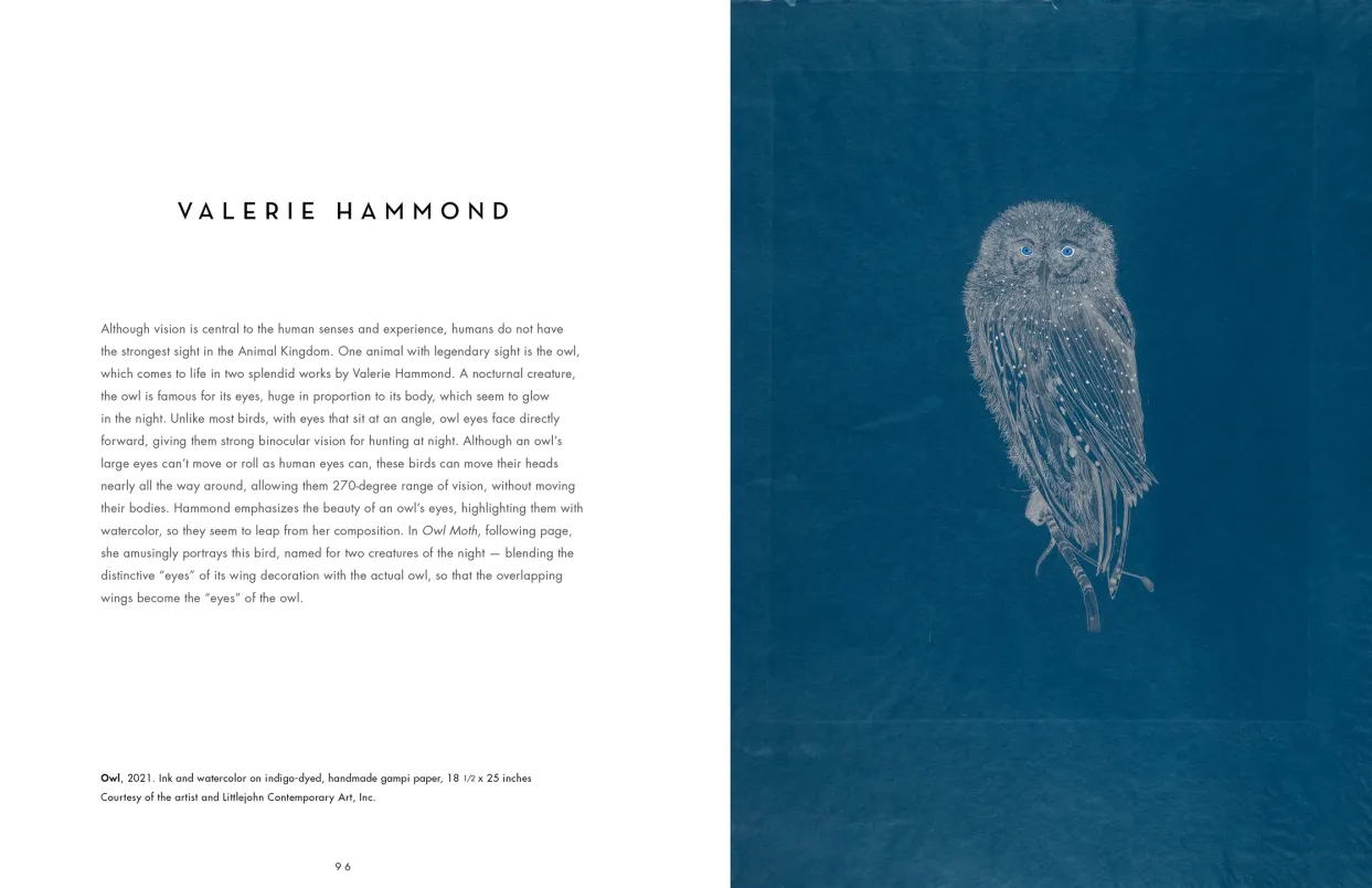 The Eyes Have It! exhibition catalogue, pages 96–97