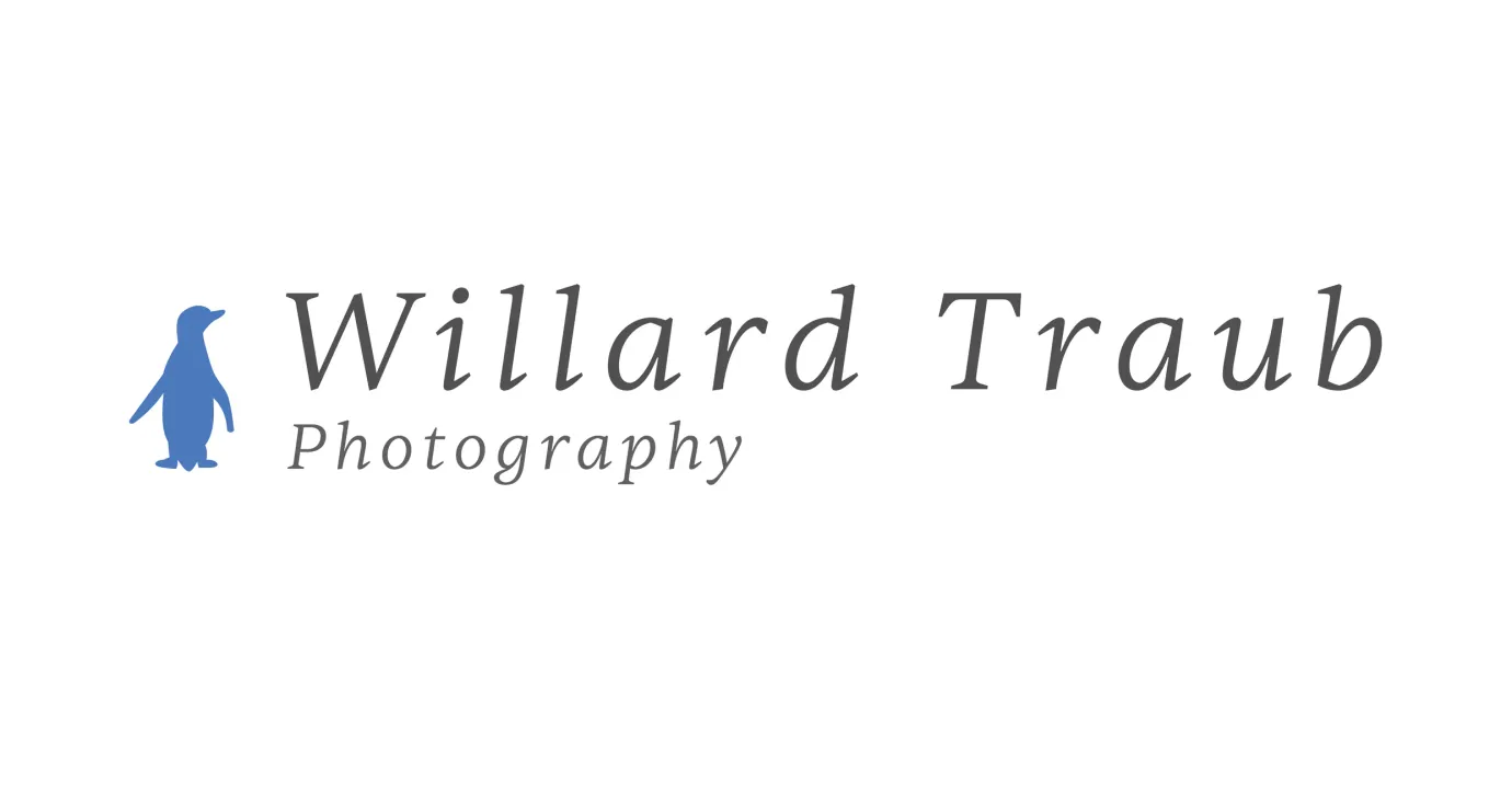 Willard Traub Website's Wordmark Graphic