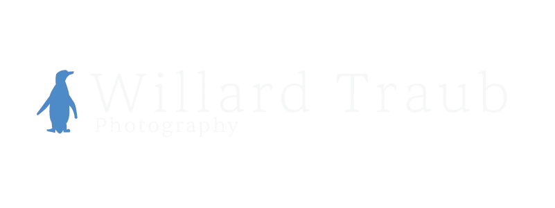Willard Traub Photography Website Logo